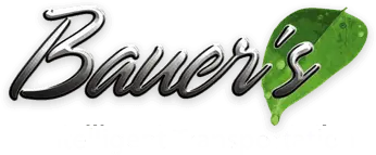 Vehicle Transportation Company - Bauer’s Intelligent Transportation