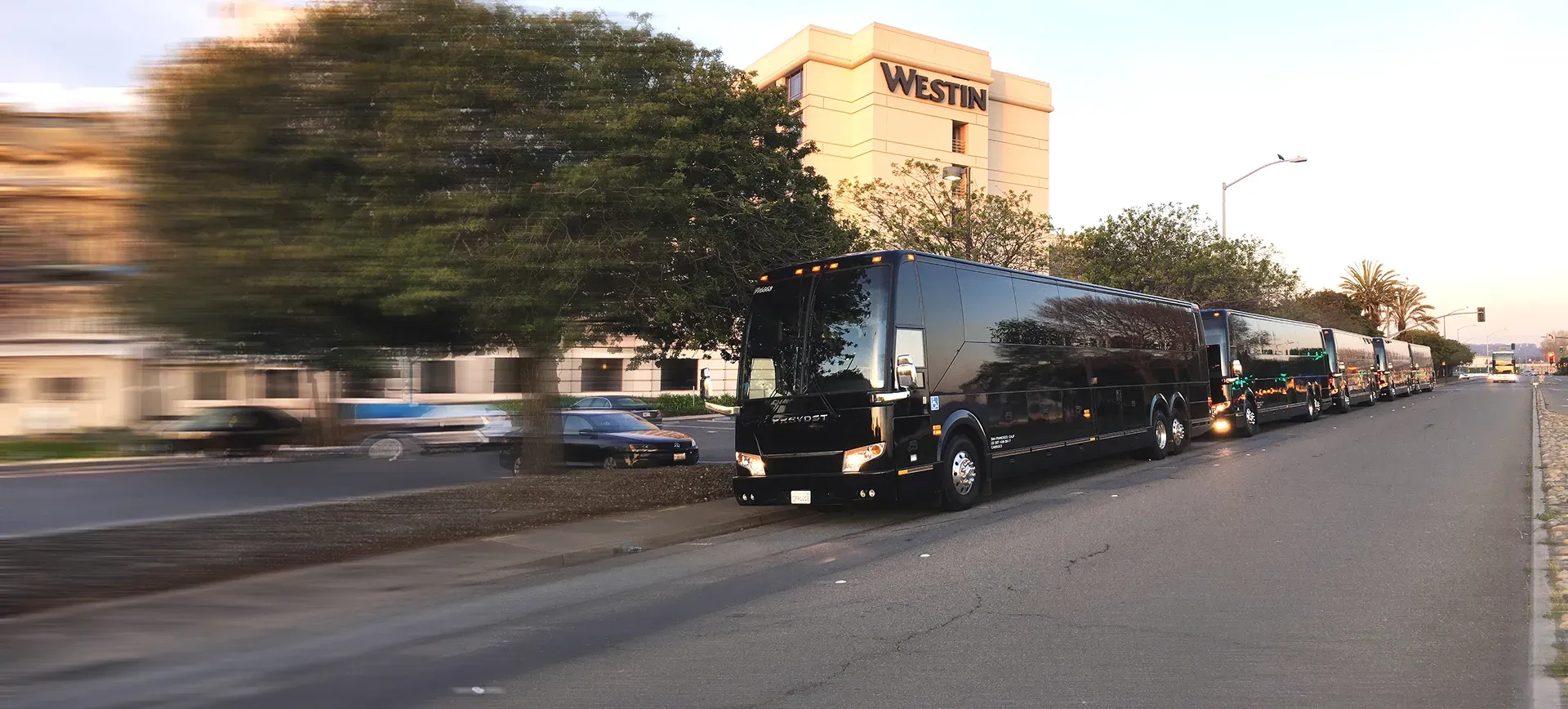 Shuttle and Charter Services with Custom Solutions